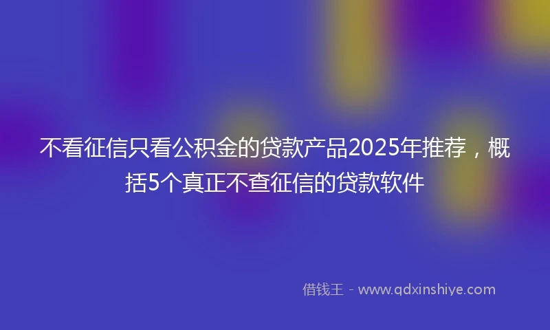 不看征信只看公积金的贷款产品2025年推荐，概括5个真正不查征信的贷款软件