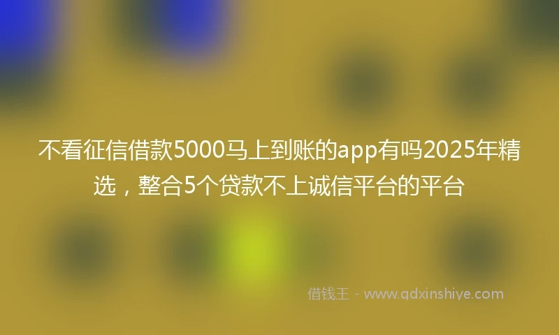 不看征信借款5000马上到账的app有吗2025年精选，整合5个贷款不上诚信平台的平台