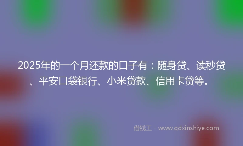 2025年的一个月还款的口子有：随身贷、读秒贷、平安口袋银行、小米贷款、信用卡贷等。