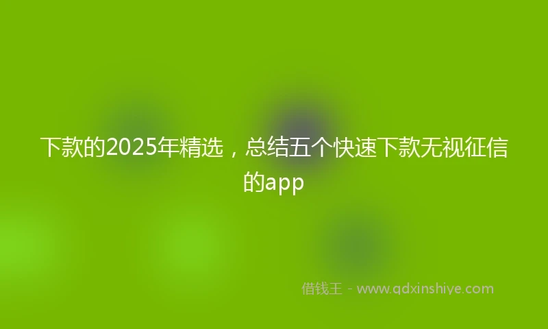 下款的2025年精选，总结五个快速下款无视征信的app