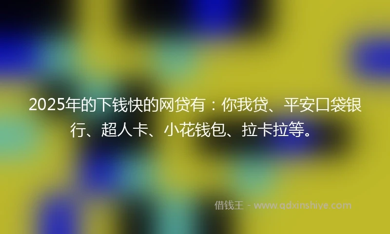 2025年的下钱快的网贷有：你我贷、平安口袋银行、超人卡、小花钱包、拉卡拉等。