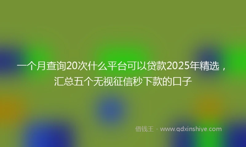 一个月查询20次什么平台可以贷款2025年精选，汇总五个无视征信秒下款的口子