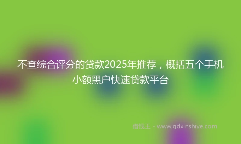 不查综合评分的贷款2025年推荐，概括五个手机小额黑户快速贷款平台