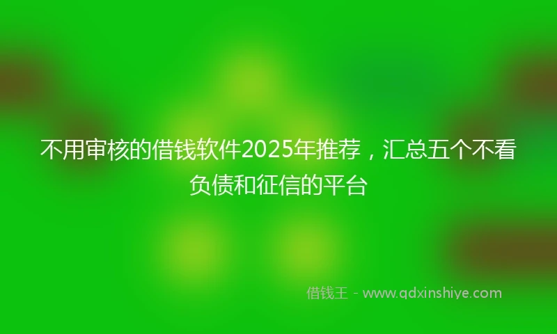 不用审核的借钱软件2025年推荐，汇总五个不看负债和征信的平台