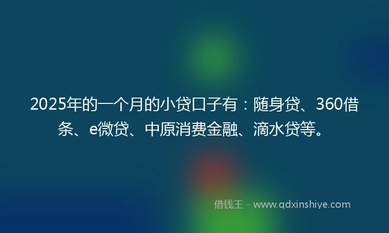 2025年的一个月的小贷口子有：随身贷、360借条、e微贷、中原消费金融、滴水贷等。