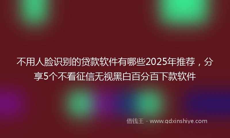 不用人脸识别的贷款软件有哪些2025年推荐，分享5个不看征信无视黑白百分百下款软件