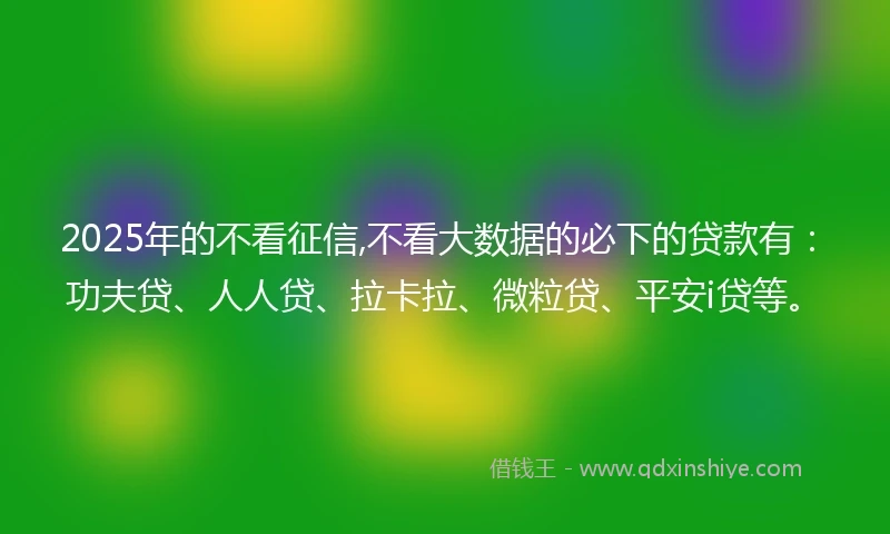 2025年的不看征信,不看大数据的必下的贷款有：功夫贷、人人贷、拉卡拉、微粒贷、平安i贷等。