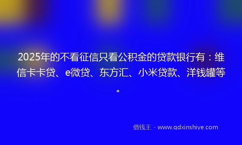 2025年的不看征信只看公积金的贷款银行有：维信卡卡贷、e微贷、东方汇、小米贷款、洋钱罐等。