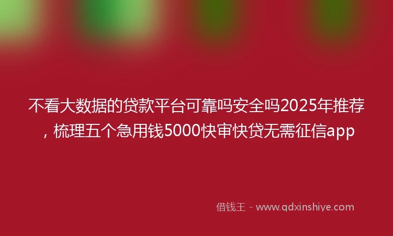 不看大数据的贷款平台可靠吗安全吗2025年推荐，梳理五个急用钱5000快审快贷无需征信app