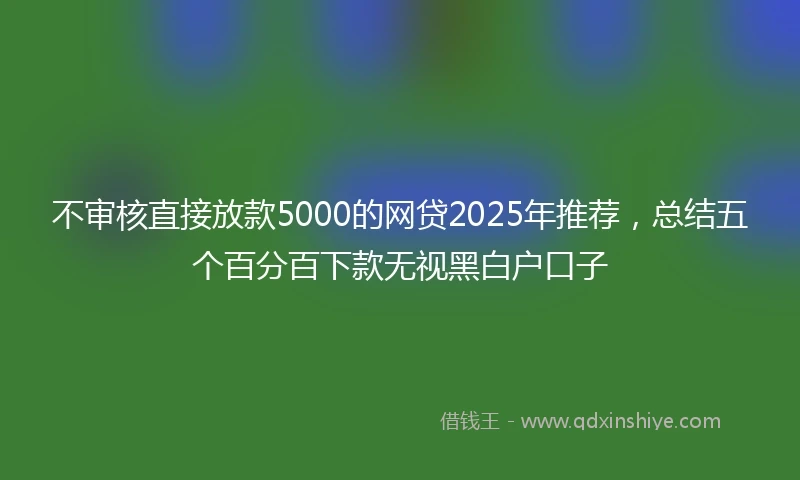 不审核直接放款5000的网贷2025年推荐，总结五个百分百下款无视黑白户口子