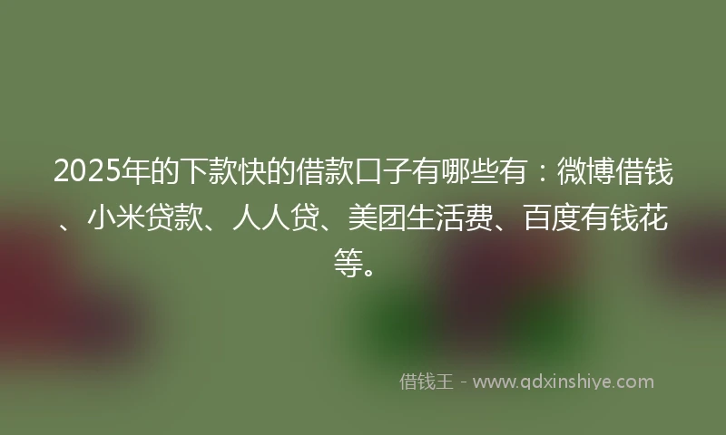 2025年的下款快的借款口子有哪些有：微博借钱、小米贷款、人人贷、美团生活费、百度有钱花等。