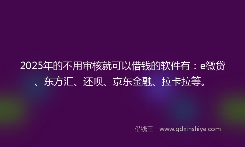 2025年的不用审核就可以借钱的软件有：e微贷、东方汇、还呗、京东金融、拉卡拉等。