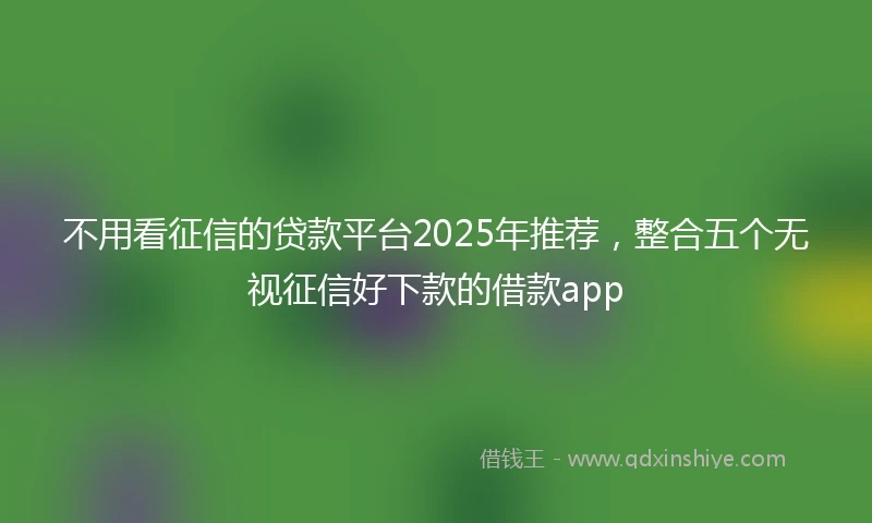 不用看征信的贷款平台2025年推荐，整合五个无视征信好下款的借款app