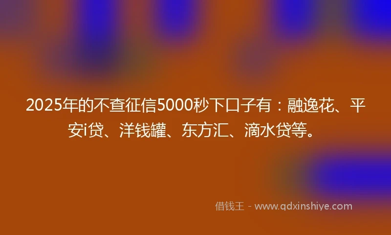 2025年的不查征信5000秒下口子有：融逸花、平安i贷、洋钱罐、东方汇、滴水贷等。