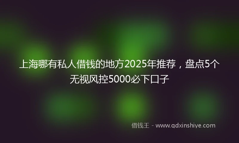 上海哪有私人借钱的地方2025年推荐，盘点5个无视风控5000必下口子