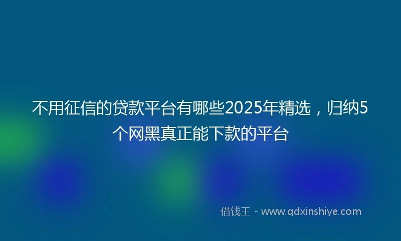 不用征信的贷款平台有哪些2025年精选，归纳5个网黑真正能下款的平台