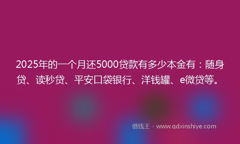 2025年的一个月还5000贷款有多少本金有：随身贷、读秒贷、平安口袋银行、洋钱罐、e微贷等。