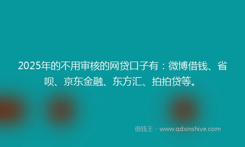 2025年的不用审核的网贷口子有：微博借钱、省呗、京东金融、东方汇、拍拍贷等。
