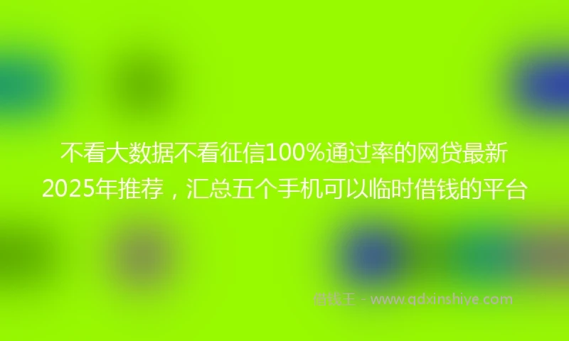 不看大数据不看征信100%通过率的网贷最新2025年推荐，汇总五个手机可以临时借钱的平台