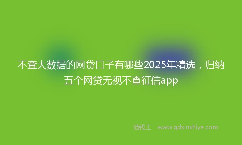 不查大数据的网贷口子有哪些2025年精选，归纳五个网贷无视不查征信app