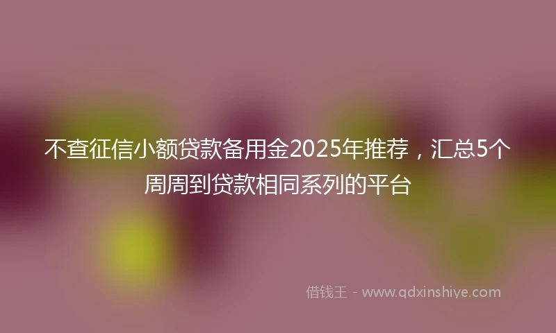 不查征信小额贷款备用金2025年推荐，汇总5个周周到贷款相同系列的平台