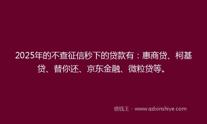 2025年的不查征信秒下的贷款有：惠商贷、柯基贷、替你还、京东金融、微粒贷等。