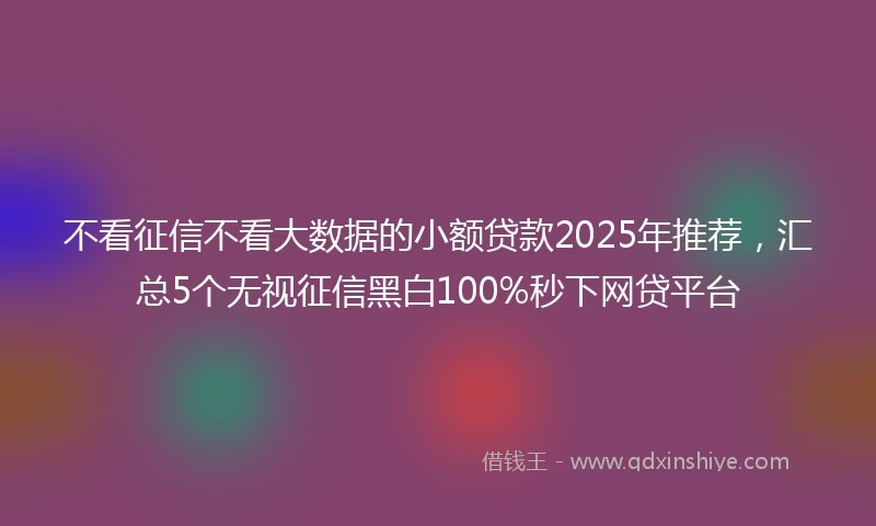 不看征信不看大数据的小额贷款2025年推荐，汇总5个无视征信黑白100%秒下网贷平台