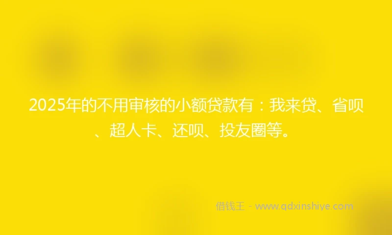2025年的不用审核的小额贷款有：我来贷、省呗、超人卡、还呗、投友圈等。