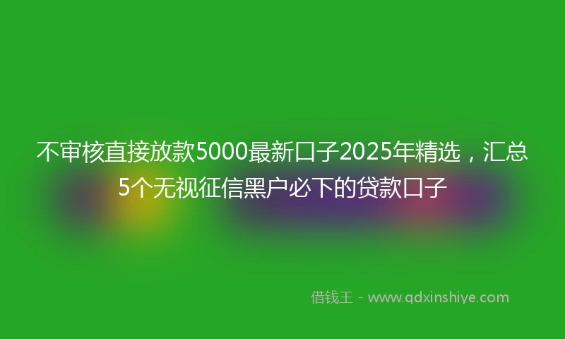 不审核直接放款5000最新口子2025年精选，汇总5个无视征信黑户必下的贷款口子