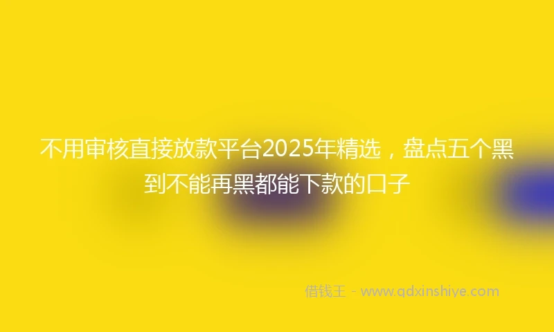 不用审核直接放款平台2025年精选，盘点五个黑到不能再黑都能下款的口子