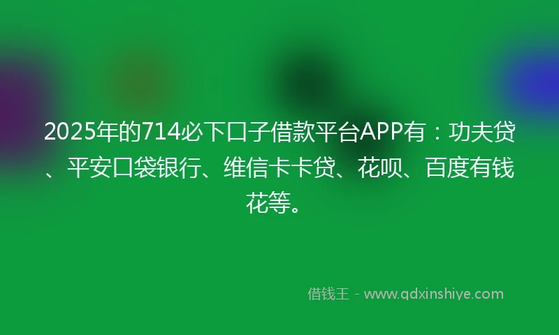 2025年的714必下口子借款平台APP有：功夫贷、平安口袋银行、维信卡卡贷、花呗、百度有钱花等。