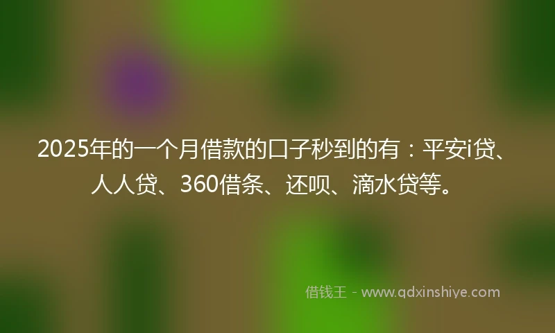 2025年的一个月借款的口子秒到的有：平安i贷、人人贷、360借条、还呗、滴水贷等。