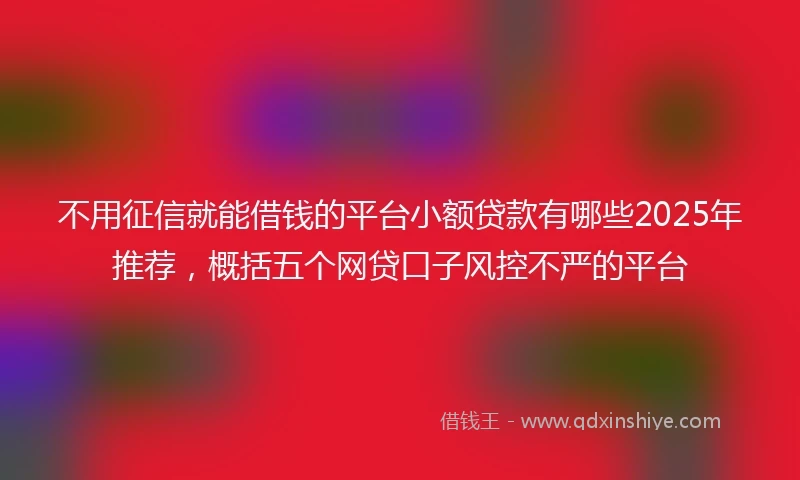 不用征信就能借钱的平台小额贷款有哪些2025年推荐，概括五个网贷口子风控不严的平台