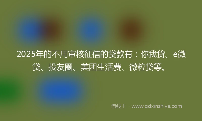 2025年的不用审核征信的贷款有：你我贷、e微贷、投友圈、美团生活费、微粒贷等。