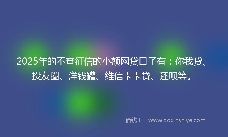 2025年的不查征信的小额网贷口子有：你我贷、投友圈、洋钱罐、维信卡卡贷、还呗等。
