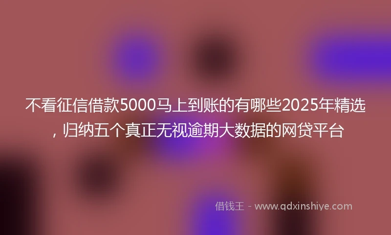 不看征信借款5000马上到账的有哪些2025年精选，归纳五个真正无视逾期大数据的网贷平台