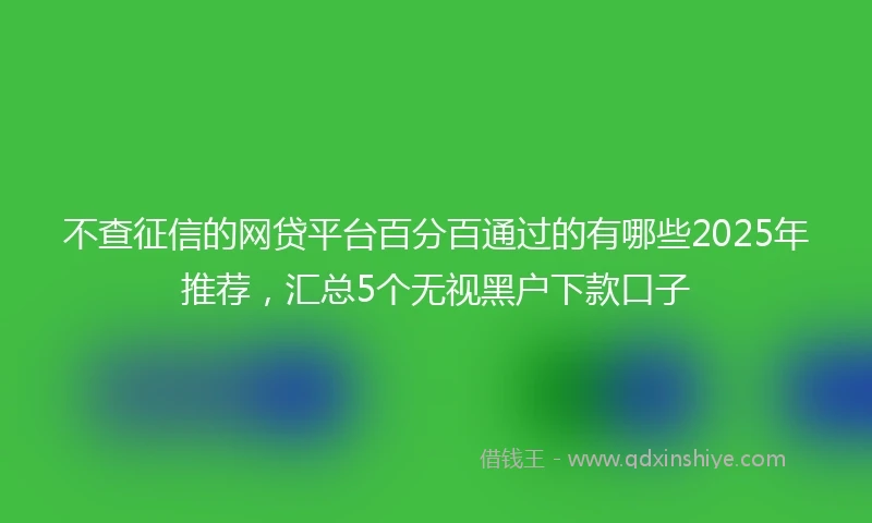 不查征信的网贷平台百分百通过的有哪些2025年推荐，汇总5个无视黑户下款口子