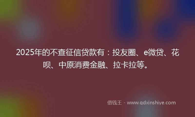 2025年的不查征信贷款有：投友圈、e微贷、花呗、中原消费金融、拉卡拉等。