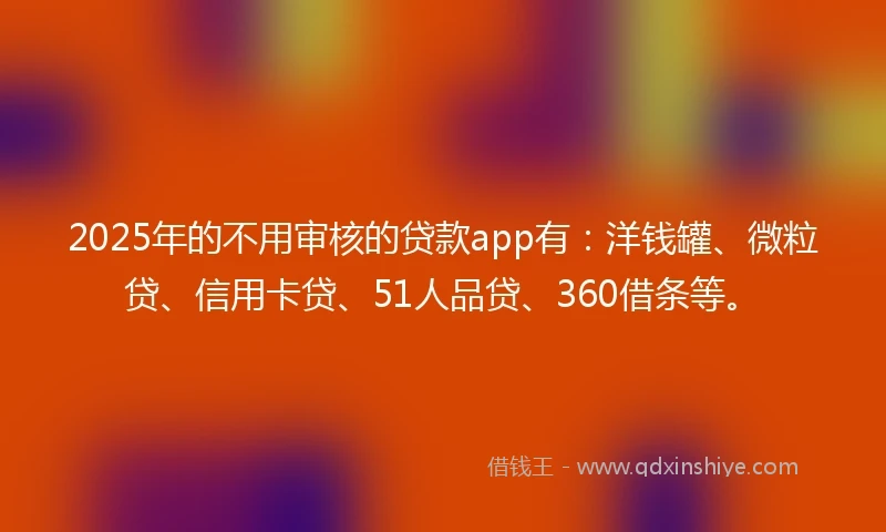 2025年的不用审核的贷款app有：洋钱罐、微粒贷、信用卡贷、51人品贷、360借条等。
