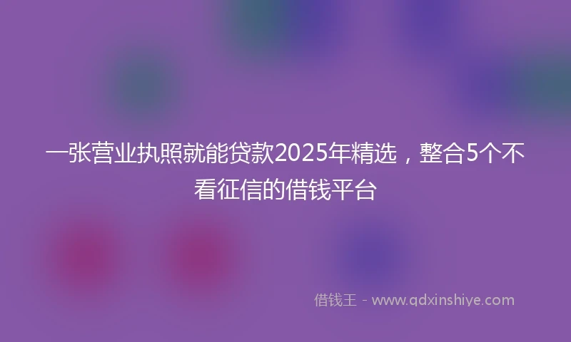 一张营业执照就能贷款2025年精选，整合5个不看征信的借钱平台