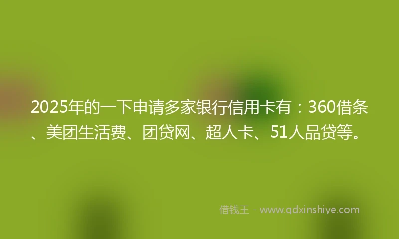 2025年的一下申请多家银行信用卡有：360借条、美团生活费、团贷网、超人卡、51人品贷等。