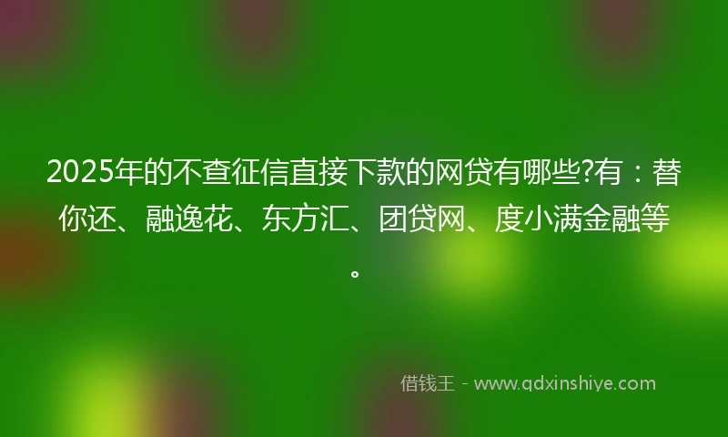 2025年的不查征信直接下款的网贷有哪些?有：替你还、融逸花、东方汇、团贷网、度小满金融等。