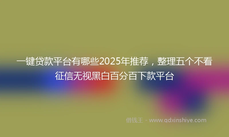 一键贷款平台有哪些2025年推荐，整理五个不看征信无视黑白百分百下款平台