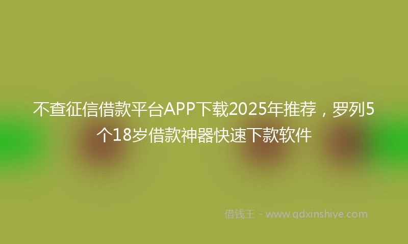不查征信借款平台APP下载2025年推荐，罗列5个18岁借款神器快速下款软件