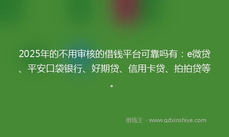 2025年的不用审核的借钱平台可靠吗有：e微贷、平安口袋银行、好期贷、信用卡贷、拍拍贷等。
