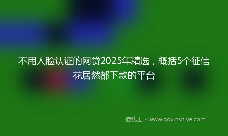 不用人脸认证的网贷2025年精选，概括5个征信花居然都下款的平台