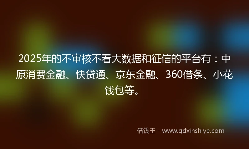 2025年的不审核不看大数据和征信的平台有：中原消费金融、快贷通、京东金融、360借条、小花钱包等。
