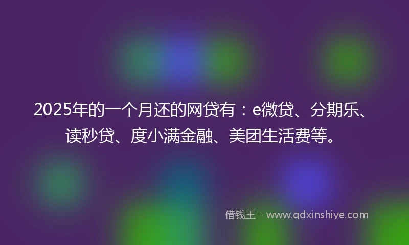 2025年的一个月还的网贷有：e微贷、分期乐、读秒贷、度小满金融、美团生活费等。