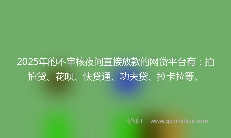 2025年的不审核夜间直接放款的网贷平台有：拍拍贷、花呗、快贷通、功夫贷、拉卡拉等。