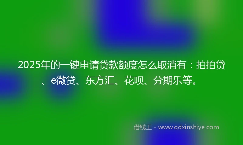 2025年的一键申请贷款额度怎么取消有：拍拍贷、e微贷、东方汇、花呗、分期乐等。